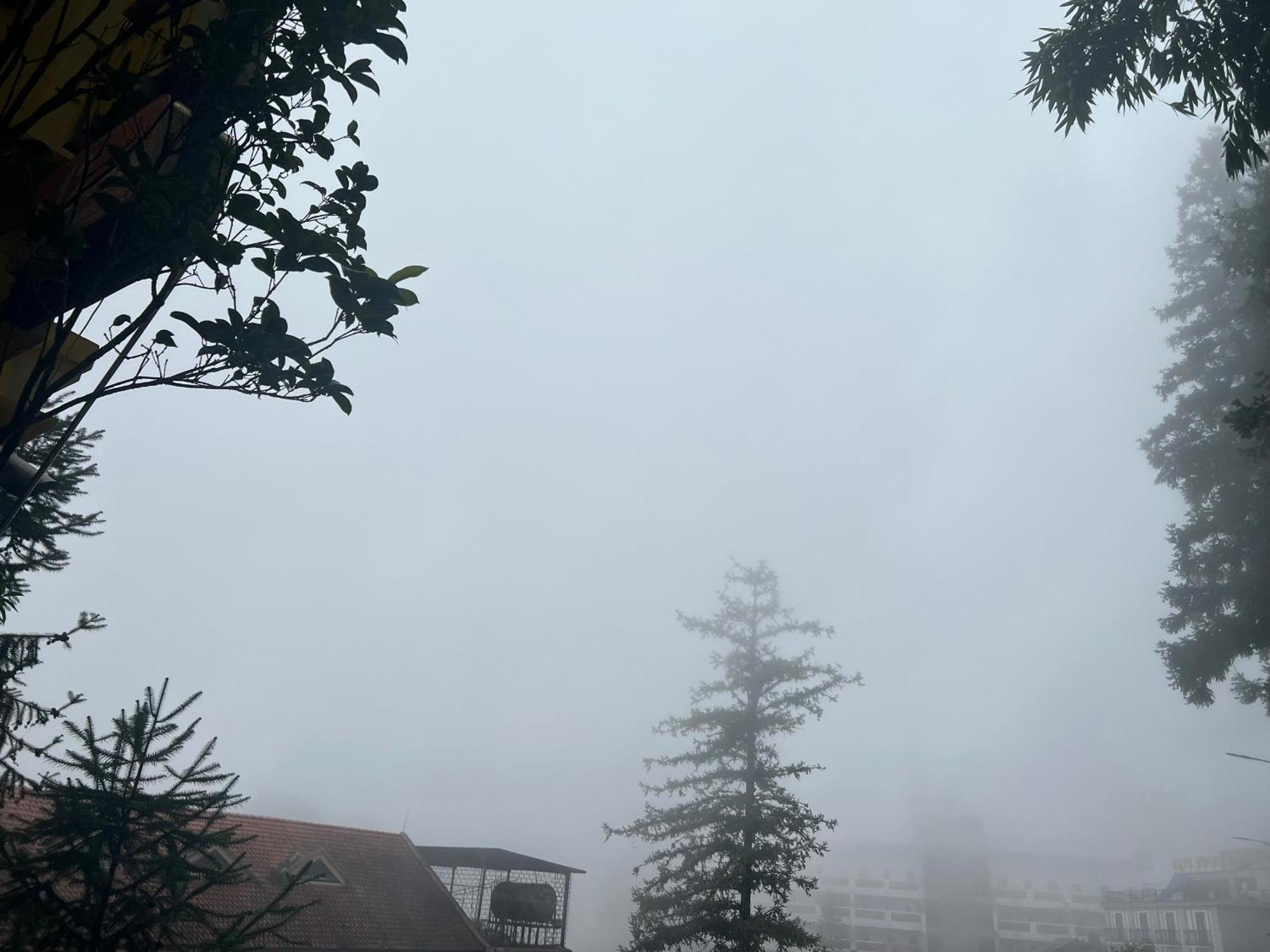 Sapa Elite Hotel Екстериор снимка